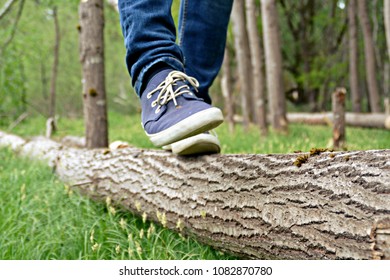 close up - balancing on a fallen tree