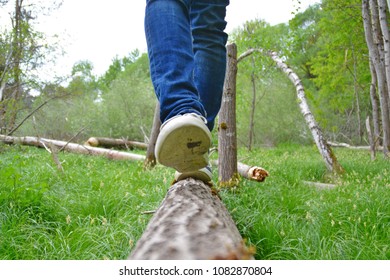 close up - balancing on a fallen tree