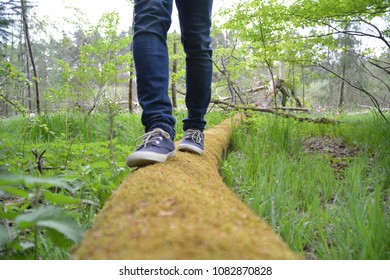 close up - balancing on a fallen tree