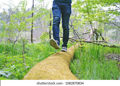 close up - balancing on a fallen tree
