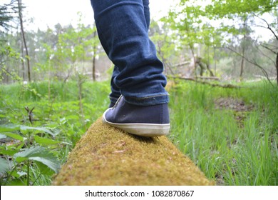 close up - balancing on a fallen tree