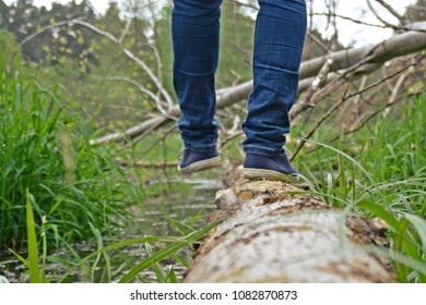 close up - balancing on a fallen tree