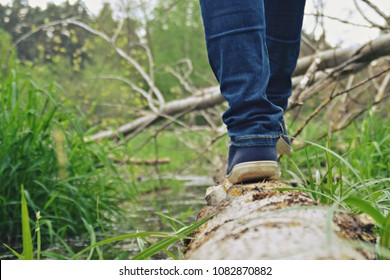 close up - balancing on a fallen tree