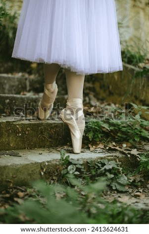 Close up of ballet diva in long tulle skirt and ballet shoes while standing in point work on old concrete staircase overgrown with small plants. Graceful descent of ballerina down rustic staircase.