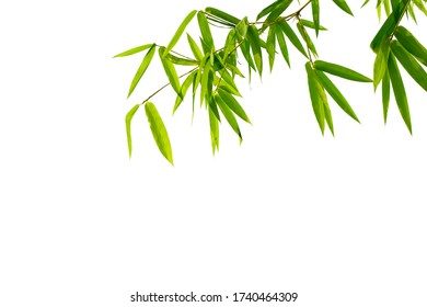 Bamboo Leaves Frame Isolated On White Stock Photo 2211058751 | Shutterstock