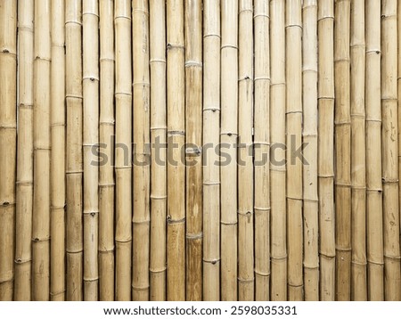 Close up Bamboo Stick Wall Texture Background.