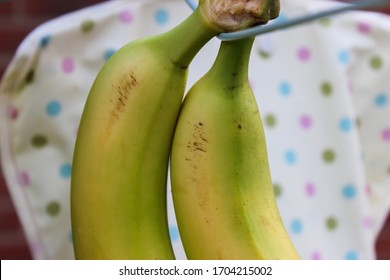 Close Up Of Bananas White Spotty Background