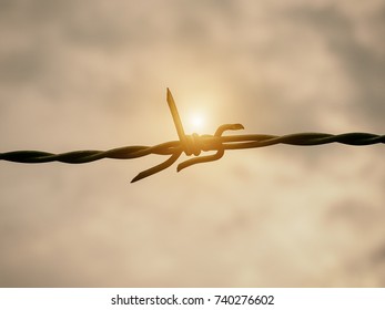 Close up Barb wire at the middle of background.the reflceciton of sun light is shing to middel of barb wire,abstract art design,vintage and art tone