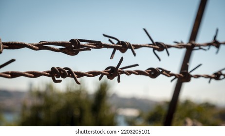 Close up to barbed wire with blue sky and landscape in the background, freedom and hope idea, security and protection, metal wires, steel barbwire, selective focus