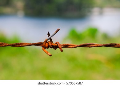 Close up barbed wire with blur background