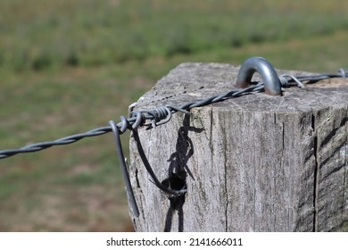 Close Up Of Barbed Wire Fence On Farm Paddock. Farm Fencing