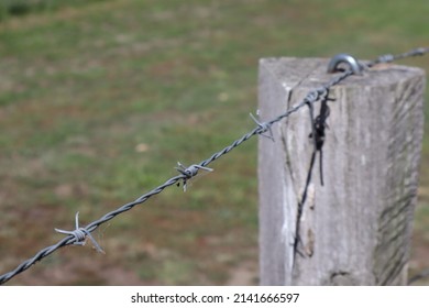 Close Up Of Barbed Wire Fence On Farm Paddock. Farm Fencing