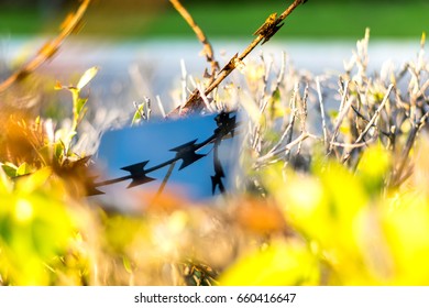 Close Up  Barbed Wire Reflected In The Mobile Phone, Cutter Blurred In The Background