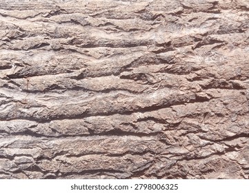 close up of the bark of an old tree and almost rotten 
this texture is often use for background purpose or desain projects