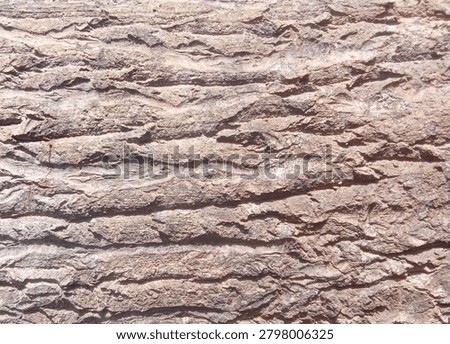 close up of the bark of an old tree and almost rotten 
this texture is often use for background purpose or desain projects