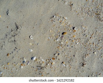 Close Up Of The Beach At St George Island, Florida