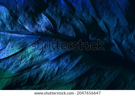 Close up Beautiful abstraction  leaf texture in multicoloured neon light. Minimalism retro style concept. Background pattern for design. Macro photography view.