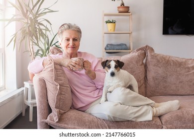 559 Granny with dog Stock Photos, Images & Photography | Shutterstock