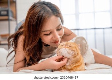 Close up beautiful Asian woman lie near her orange cat also scratch the chin of cat to make it relax and happy on bed. - Powered by Shutterstock