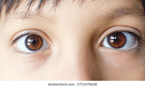 Brown Eyes Boy Images Stock Photos Vectors Shutterstock