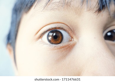 Close Up Beautiful Brown Eyes Of A Young Boy. Wide Open Brown Eyes Looking To The Camera                             