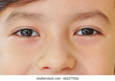 茶色の目 High Res Stock Images Shutterstock