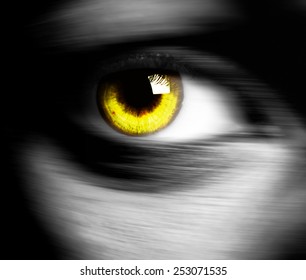 Close up of a beautiful eye