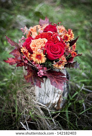 Similar – Image, Stock Photo Elegant autumn decoration with white pumpkins and light bokeh