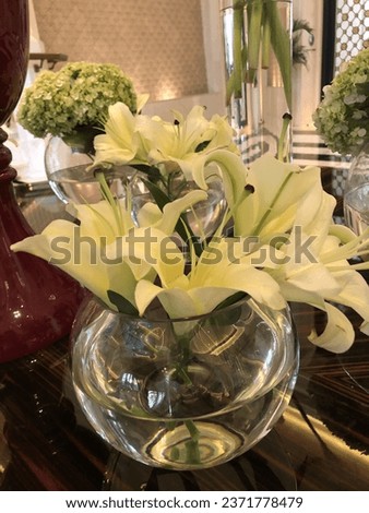 Close up beautiful Madona lily or Easter lily or lilium flowers in a glass vase as decoration on the table or bunga lily atau bunga lily kuning