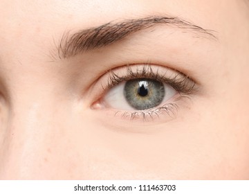 Close Up Of Beautiful Woman Eye