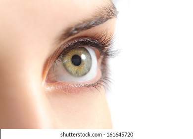 Close Up Of A Beautiful Woman Green Eye Isolated On A White Background              