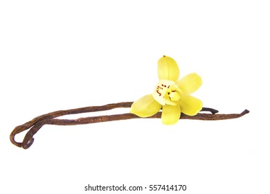 A Close Up Of Beautiful Yellow Orchid Flower With Delicious Vanilla Beans Seed Pods Isolated On White.