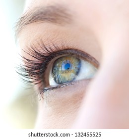 Close up beauty portrait of a young caucasian healthy woman eye looking up with lush and long eyelashes.