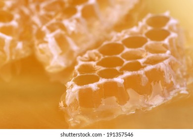 Close Up Of Bee Honey Comb