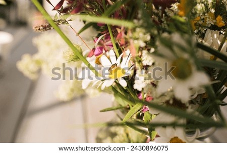 Similar – Foto Bild Wildblumenstrauß auf dem Tisch am Fenster