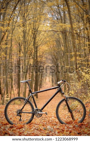 Similar – Image, Stock Photo Woman with a bike in the middle of the forest.