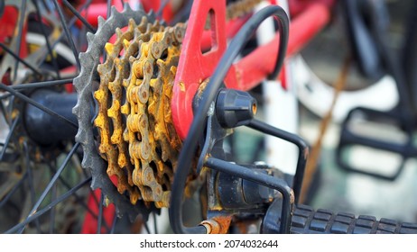 rusty bike cassette