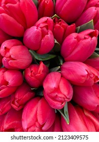 close up of big bouquet of red tulips