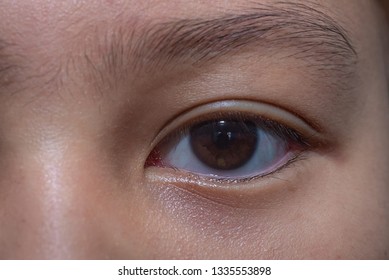 Close up big eye asian boy looking at camera to take photo for eye scanner system. - Shutterstock ID 1335553898