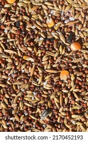 Close Up Bird Seed Background