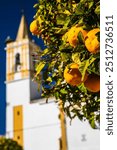 Close up of bitter oranges hanging on a tree with the backdrop of a historic church in the rural town of Carrion de los Cespedes, Seville, Spain.