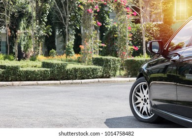 Close up of black car parked on the asphalt road and front view garden with sunlight.
