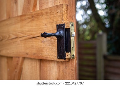 Close Up Of Black Metal Wrought Iron Door Handle With Brass Mortise Lock On Open Oak Wooden Shed Door In Back Yard Garden. 