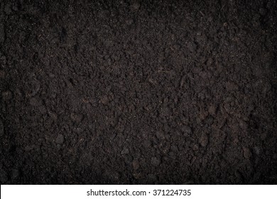 close up of black soil background  pattern  concepts