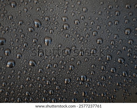 A close up of a black surface with many small drops of water. The drops are scattered all over the surface