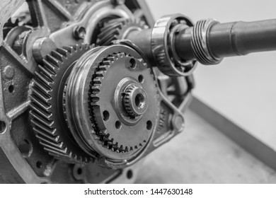Close Up Black and white gear - Shutterstock ID 1447630148
