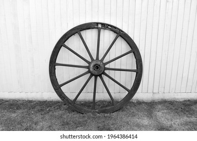close up of black and white image of  large wooden cartwheel .  Round wheel with wood spokes and metal centre outside against fence panels