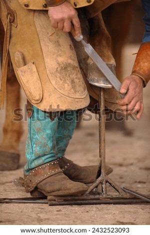 Close up of blacksmith or farrier working on horse hoof with rasp rasping or filing outside of hoof trimming horse foot vertical image room for type male farrier wearing  chaps or chinks cowboy boots 