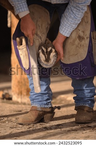 Close up of blacksmith or farrier working on horse hoof with rasp rasping or filing outside of hoof trimming horse foot vertical image room for type male farrier wearing  chaps or chinks cowboy boots 