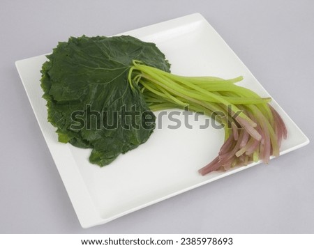 Close up of blanched butterbur leaf with stem on white square dish and gray floor, South Korea
